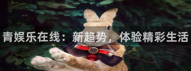 华润娱乐官方网站入口