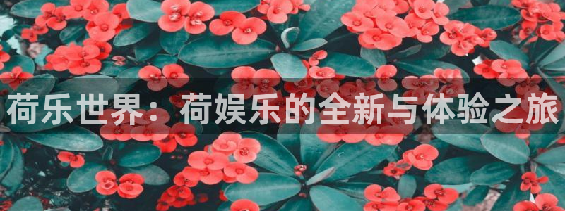 华润娱乐官方网站入口